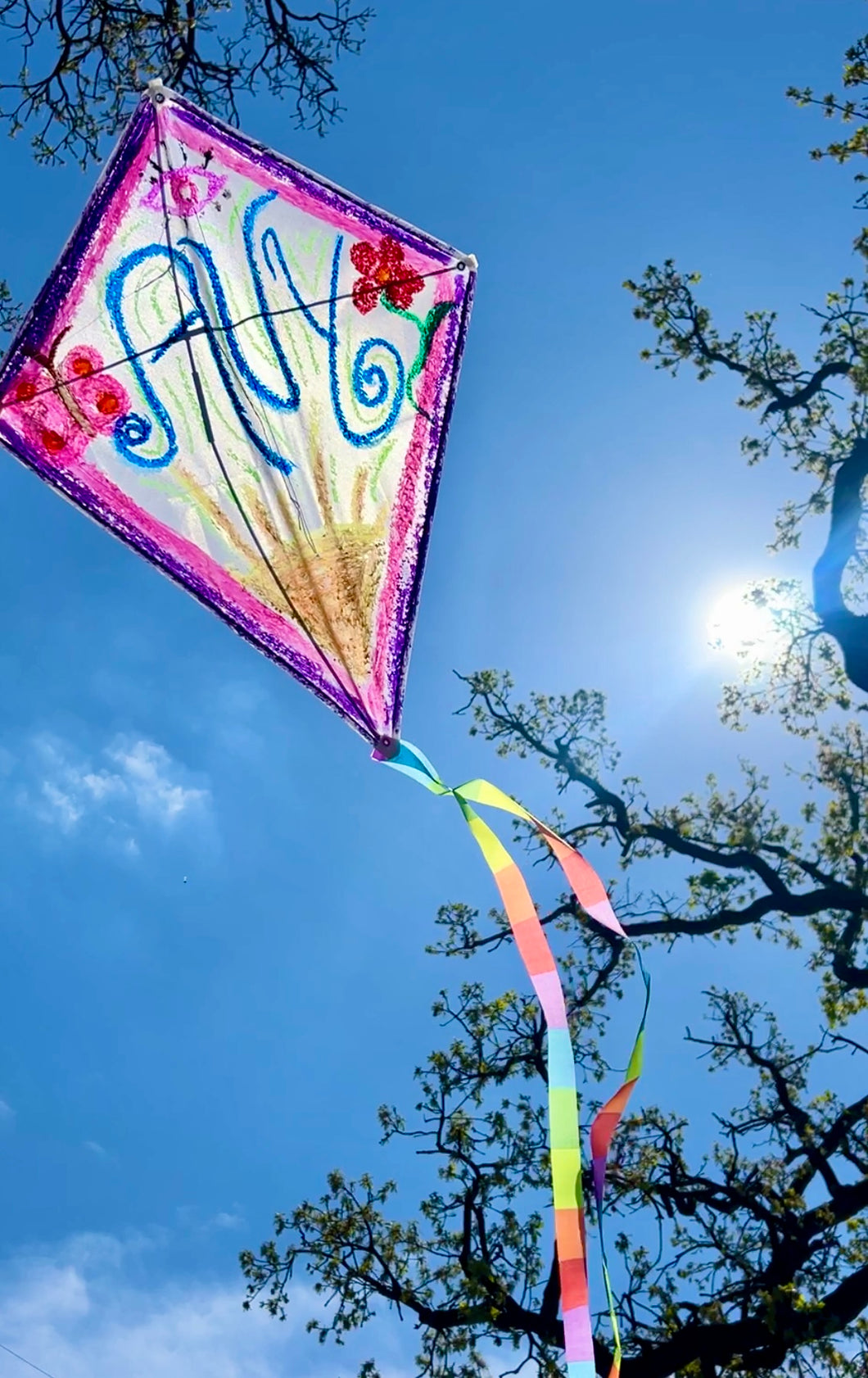 Donate $10 and Get a Kite for Your Loved One - Avy's Kite Festival Kite, Join from Anywhere