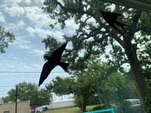 Load image into Gallery viewer, Pack of 5 Window Decals to Prevent Bird Strikes
